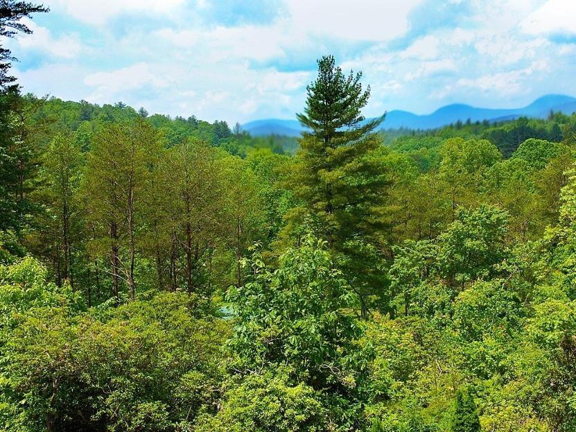 Long Mountain Lodge Bed & Breakfast Dahlonega Bilik gambar