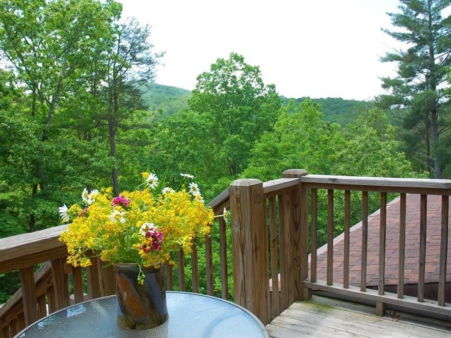 Long Mountain Lodge Bed & Breakfast Dahlonega Bilik gambar