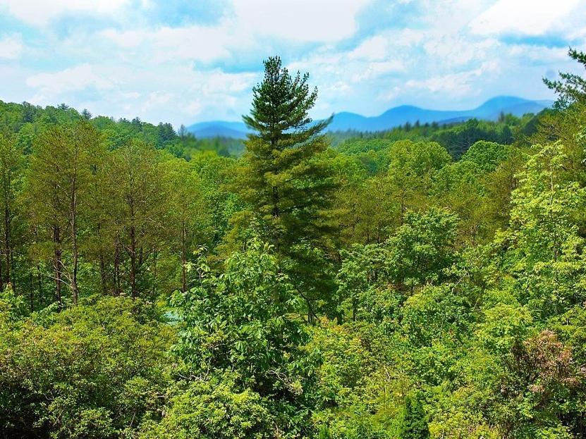 Long Mountain Lodge Bed & Breakfast Dahlonega Bilik gambar