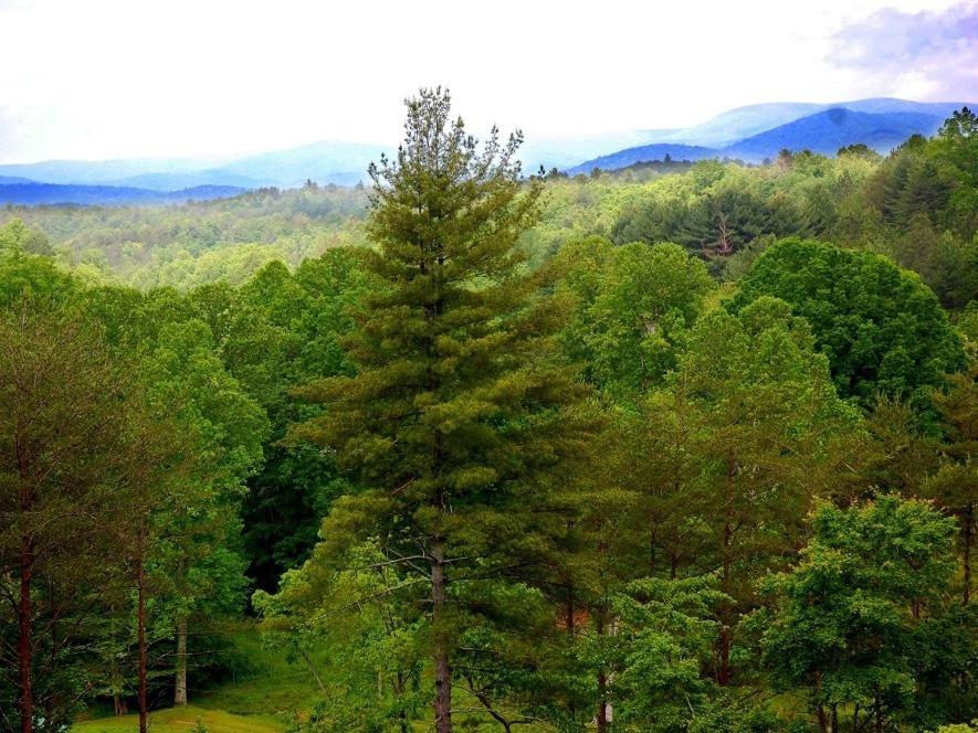 Long Mountain Lodge Bed & Breakfast Dahlonega Bilik gambar
